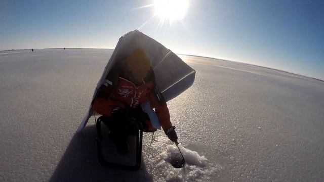 Закормил лунки, вынимай рыбу. Александр Юрьевич на Маныче . 23 января 2024 год. От Юрия Философа.