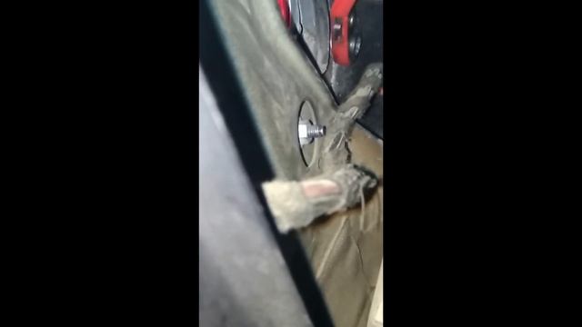 Невероятная чистота