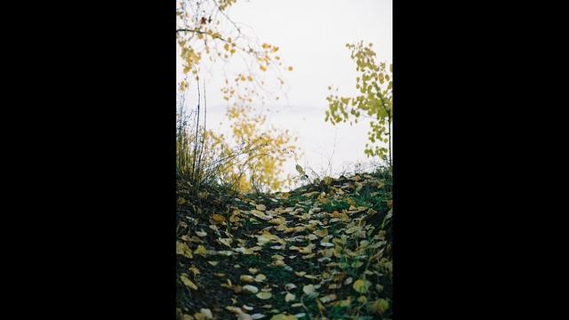 Осенние фотосессии (пленочная камера Nikon F 800).