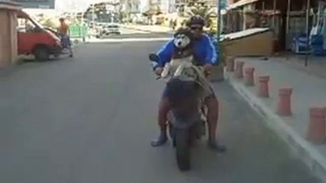 Оставаться человеком.