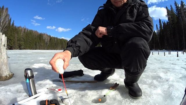 Красноперка в марте.