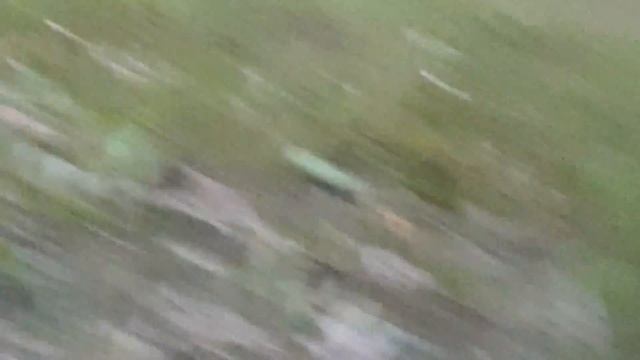 Якутии горят леса.Смог дошол до нас...