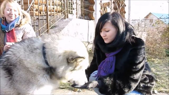 E6720d58b013630098b3f852fea81351