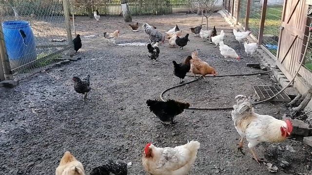 Ed88c2e728c34b891c39001519800df3