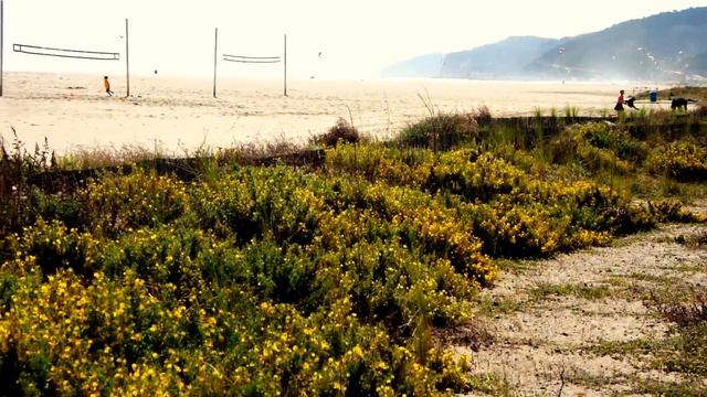 Nice Beach Of CastelldeFels Near Barcelona ☼