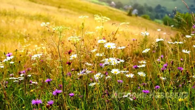Мама смотри там папа… Марина побледнела, увидев мужа, которого 3 года назад…