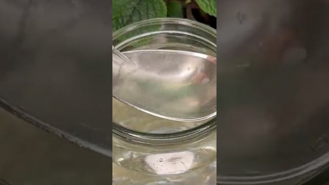 1 ложка и даже хилый цветок осенью оживает, зеленеет и пышно цветет!