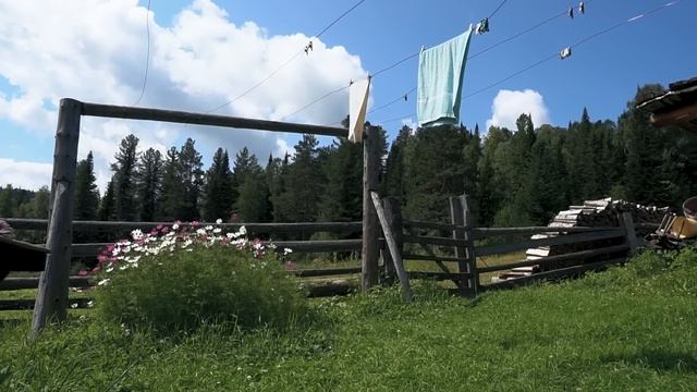 Live Alone In The Middle Wild Forest Taiga  Far From Civilization In Russia