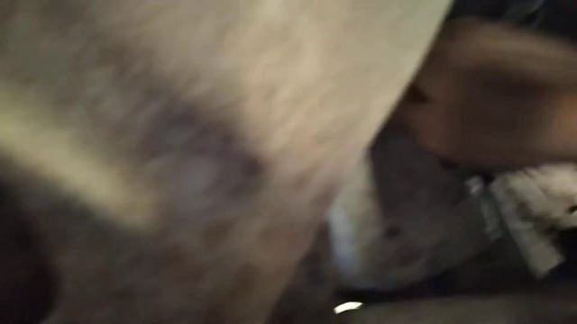 Замена и ремонт стартера: ВАЗ, Toyota, Renault