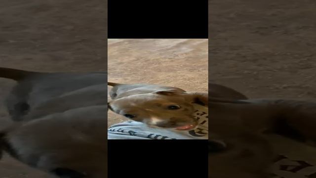 934830a8c68e24e7af3c978ef8af9016