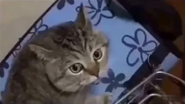 Вот кто объявляет поезда)