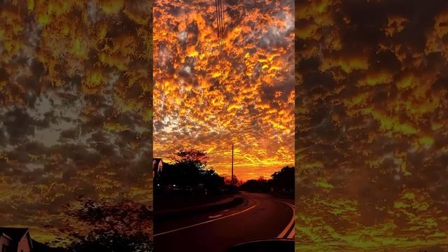 Nature Sunset ??