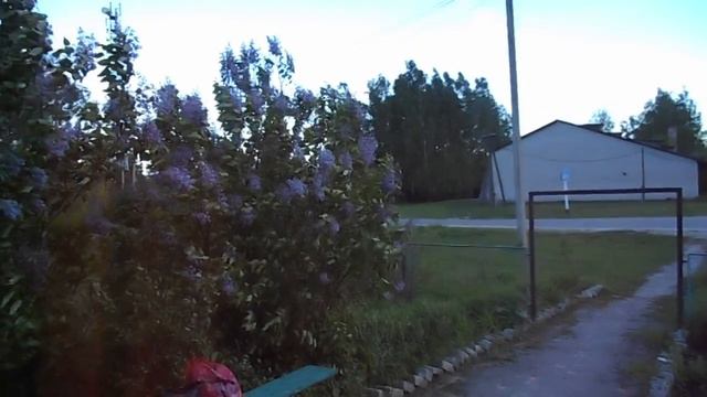 В деревне Пашково Почепского района Брянской области