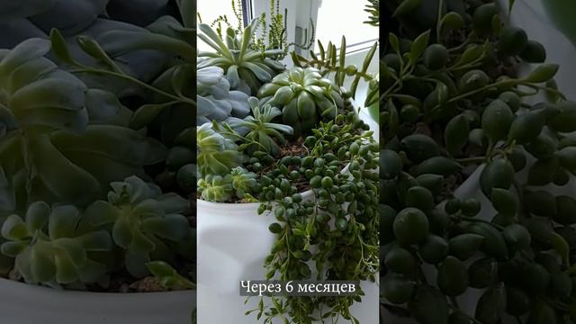 0708e99eeec9ecc6f9f9ad0a12725764