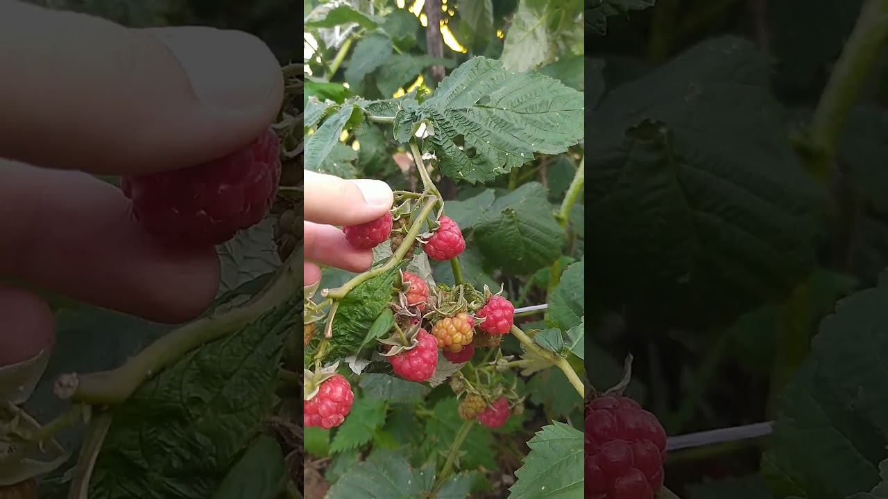 #монетизацияyoutube #блокировкаютуб