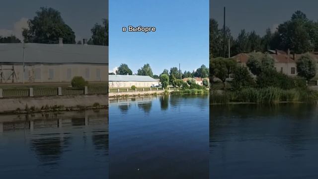 Выборгский замок #music #edit #squirrel #kpop #zoo #animals #gidle #history #twice #love