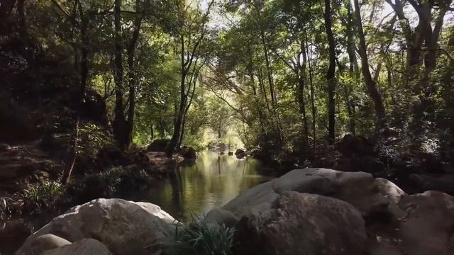 Природа Релакс-Nature Relax Расслабляющая музыка