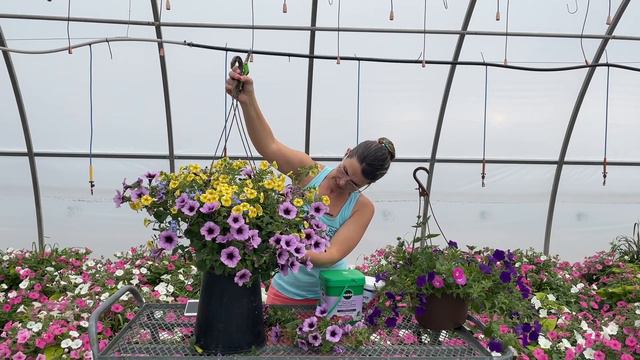 Ceab547334a411f85c6c483a04c4269c