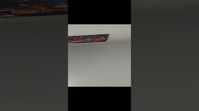 VID_20240820_162619.mp4