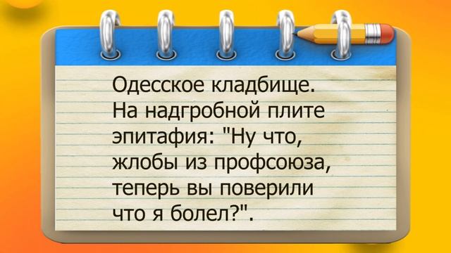 ✔️Свобода - это когда ты сам определяешь длину своего поводка. Анекдоты с Волком.#ВГостяхУВолка