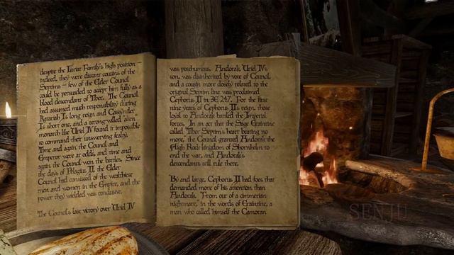 Books Of Skyrim: A Brief History Of The Empire Part Three