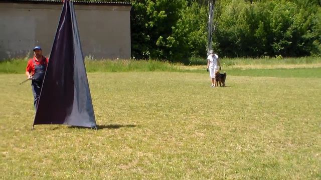 Сильвана атаки через барьер 14.06.2020