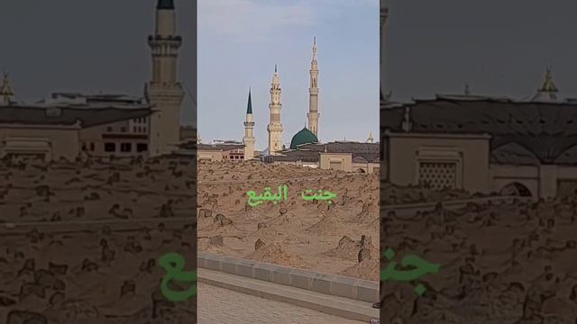 Subhan Allah Jannt Tul Baki  Part 2 #zeeshansami #islamic #islamicvideo