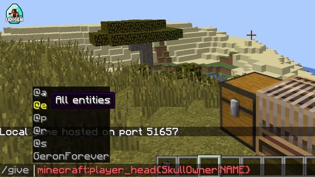 How To Get Minecraft Player Heads! 1.20.2, 1.19.4, 1.18.2, 1.17.1, 1.16.5, 1.15.2, 1.14.4