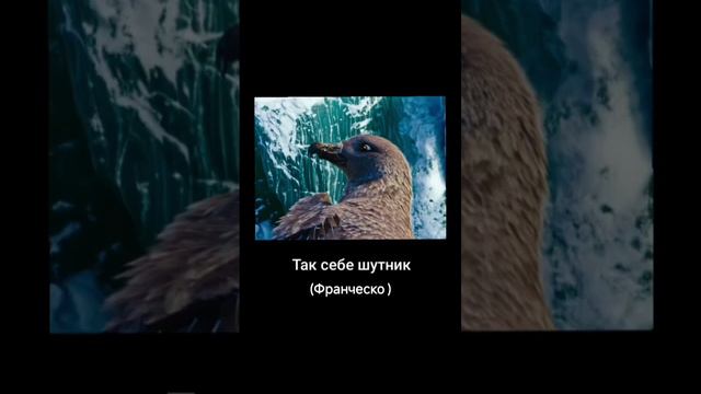 В Главных Ролях: Делай Ноги #gandontv