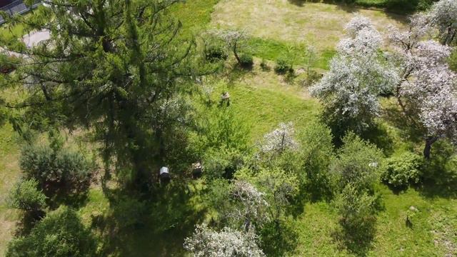 земельный участок под строительство дома вашей мечты