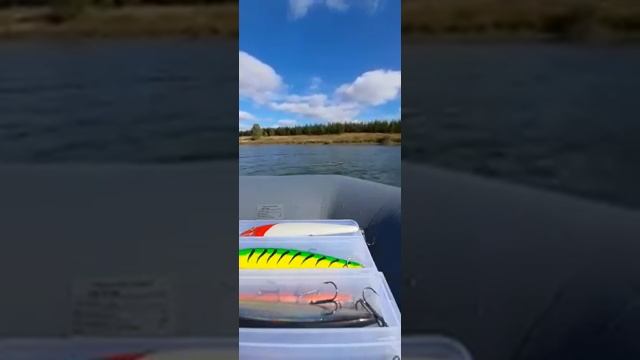 щука на 5 кг