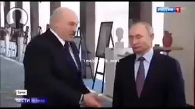 Лукашенко: Ты посмотри на эту скотину, она же вся обосранная...