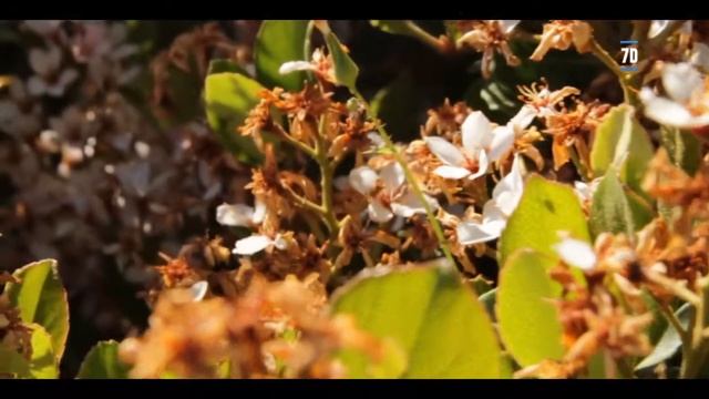 Canon 7D Base Vs Canon 750D Video Review