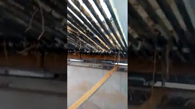 Эстетика домашнего интерьера