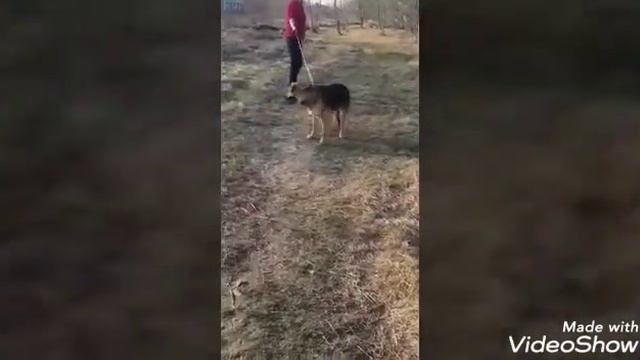 448b6e5fe420f04f5c808fc2cd44a9c7