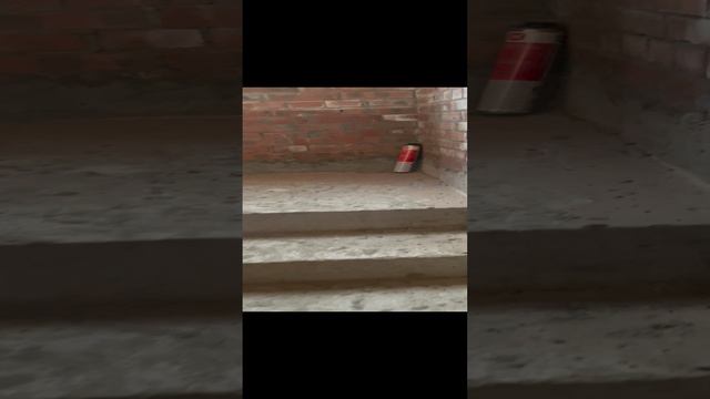 3bd2965044d65db9349637741aa620fc