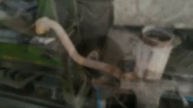 Ситроен с4