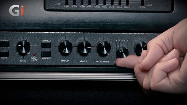 Ampeg SVT 2 Pro Amplifier  Review  Dan Veall