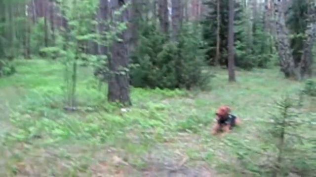 Выдержка с включением в рядовость