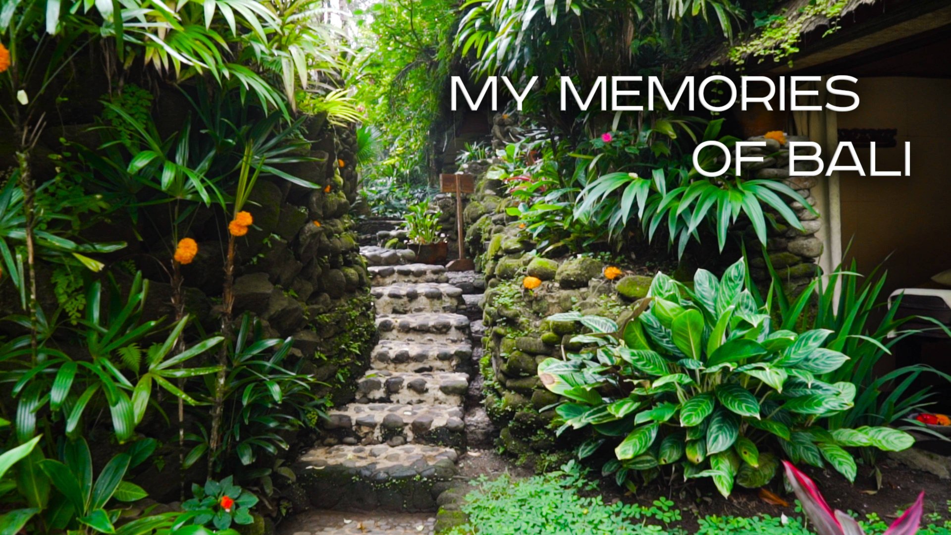 My Memories Of Bali. Мои воспоминания о Бали
