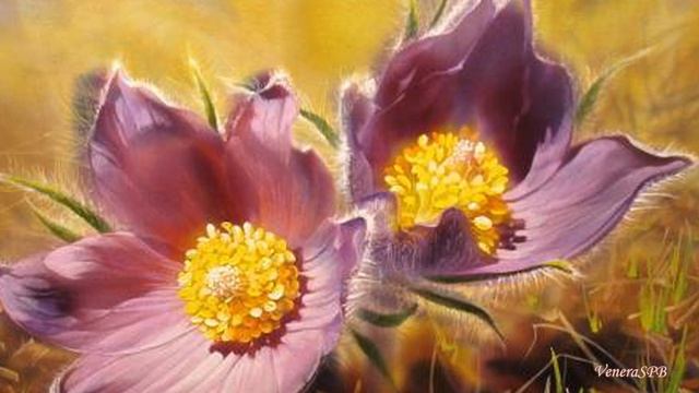 Художник Елена Тенер. Роспись на шёлке..