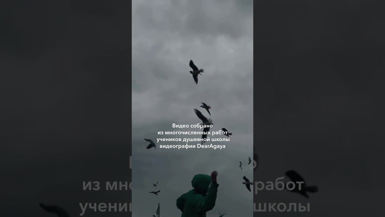 Обновленный «Увидь. Сними. Смонтируй» #душевноевидео #монтажвидео #видеограф #мобильноекино