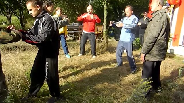 Внутренняя структура тайцзицюань 10  Столбовая работа Часть 10 Испускание Силы