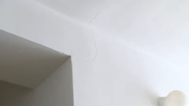 E3f60169f754a918e041fd0bb643651a