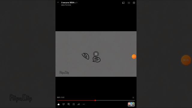 YouCut_20240806_111736366.mp4