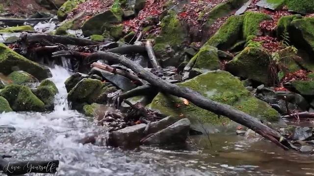 48h 5 2 Relaxing Peaceful Piano And Guitar Mix Water Stream St2