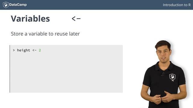 R Tutorial - The True Basics Of R