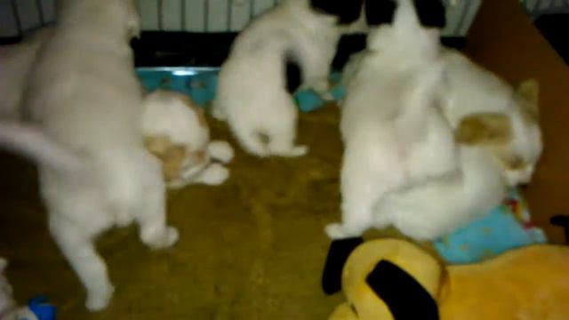 089e599768177509f320b1ab51392a1a