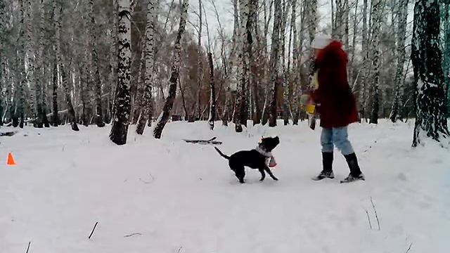 D233284a27f579e5e77d1f6f675c72da