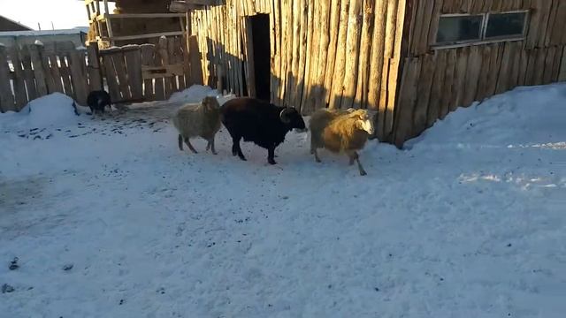 9abfda1f24d6778a3527a76d5a6ad7ff